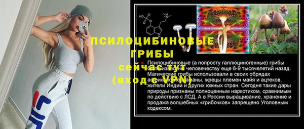 ECSTASY Алексин