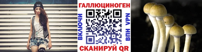 купить закладку  Боровск  Галлюциногенные грибы GOLDEN TEACHER 